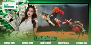Đá Gà Cựa Dao