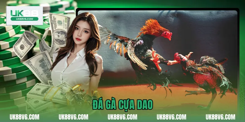 Đá Gà Cựa Dao
